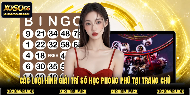 Các loại hình giải trí số học phong phú tại trang chủ
