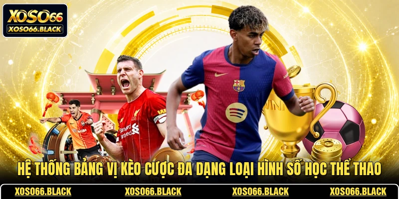 Hệ thống bảng vị kèo cược đa dạng loại hình số học thể thao